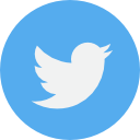 Image of the Twitter logo which is blue and is used to follow the owner of the website on said network